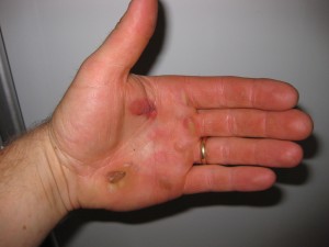 img_0259 img_0259