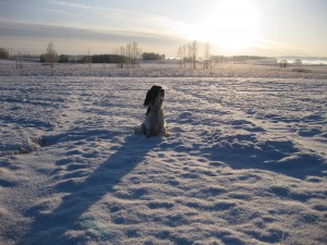 IMG_0392 IMG_0392