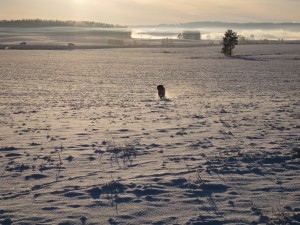 IMG_0395