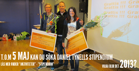 Daniel Tynells stipendium 2013